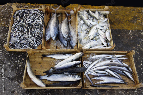 Bodrum - Fischmarkt
