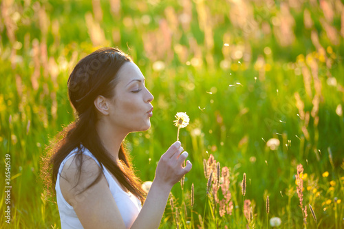 Summer Meadow