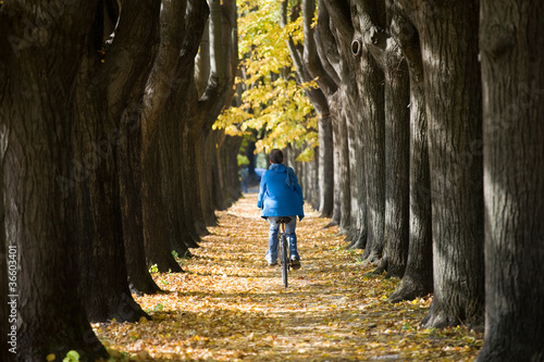 Cycling in the autumn.