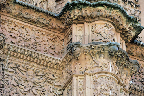 Facade of the University of Salamanca with frog on a skull (Cast