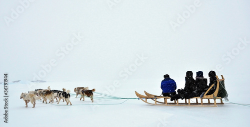 Dog sledging trip in cold snowy winter, Greenland