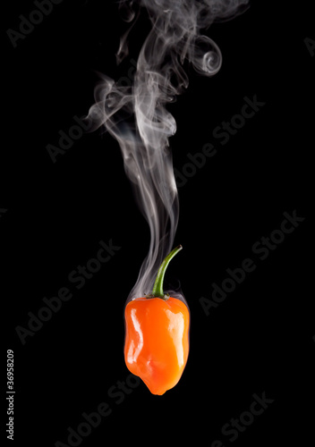Smoking habanero pepper (Capsicum Chinense) isolated on black.
