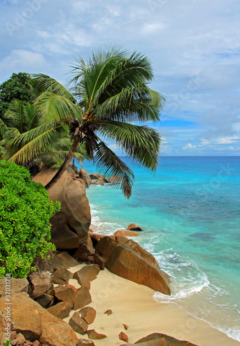 plage sauvage des côtes seychelloise