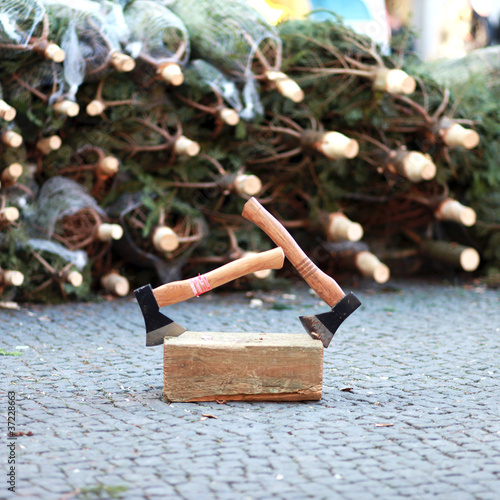 Weihnachtsbaum Markt