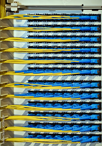 optical cables connecting to a networking patch panel