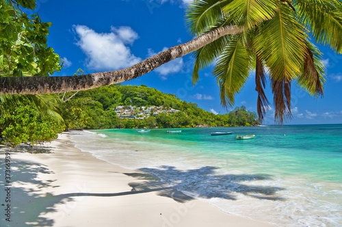 tranquil Seychelles beches
