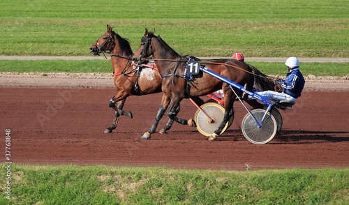 course de trot attelé