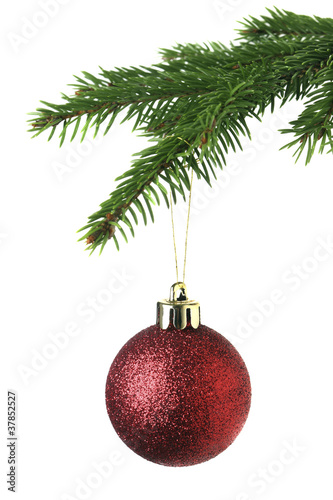 Christmas ornament on the tree