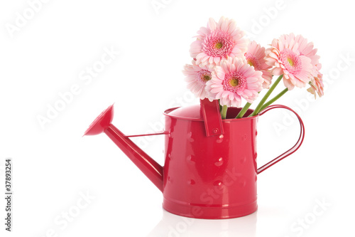 Pink watering can with flowers