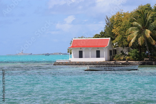 Solitude tropicale