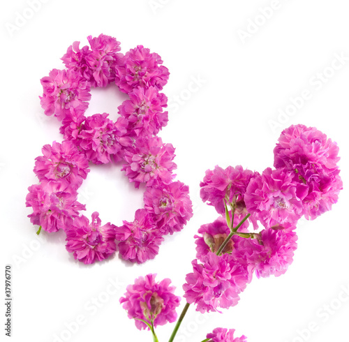The number eight from flowers