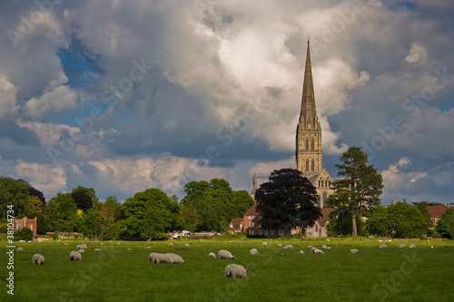 Salisbury cathedral and the water meadows