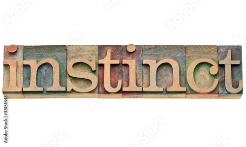 instinct word in letterpress type