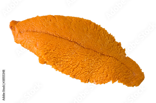 Uni (sea urchin)