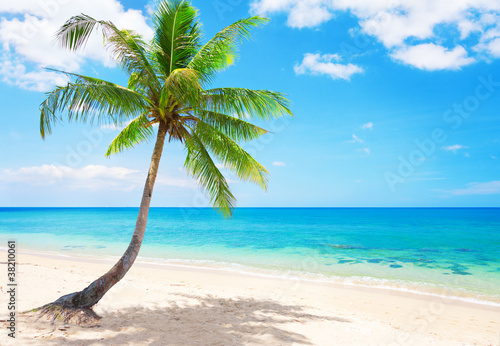 beautiful beach with coconut palm. Koh Lanta, Thailand
