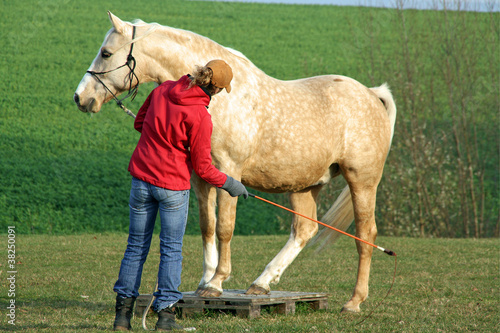 Pferd mit Trainerin