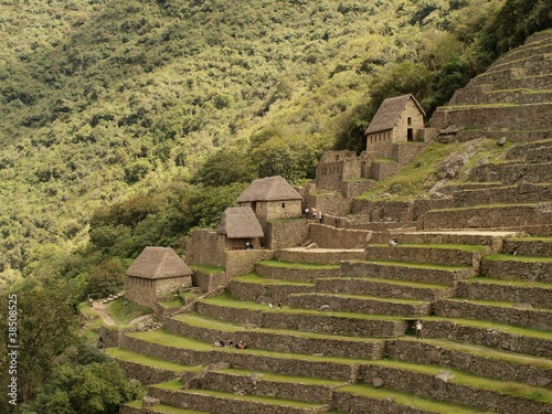 Inca terraces and huts in Machu Picchu town