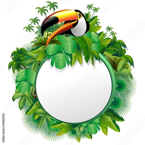 Tucano Sfondo Giungla-Toucan on Jungle Label Background-Vector