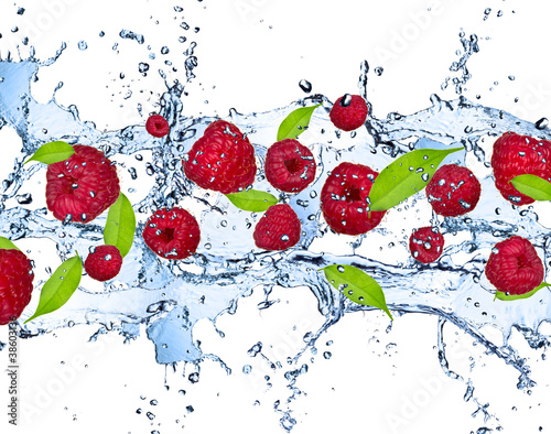 Fresh raspberries in water splash, isolated on white background