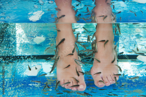 Fish spa in a beautiful blue water