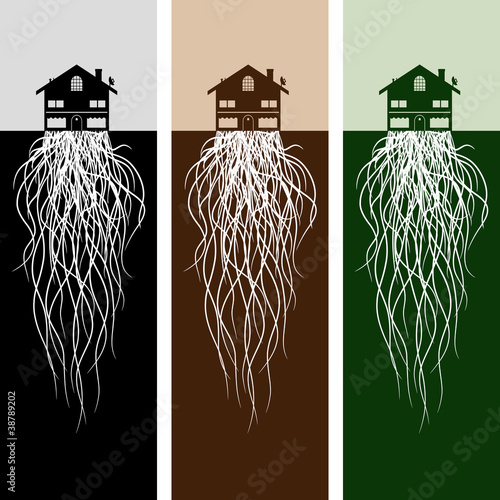 House With Roots