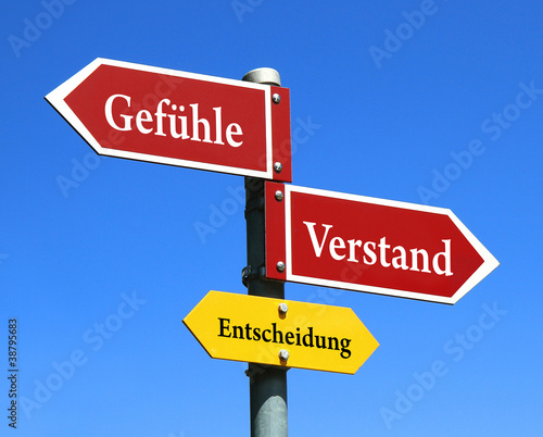 Gefühle oder Verstand