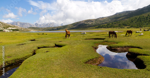 Lac de Nino