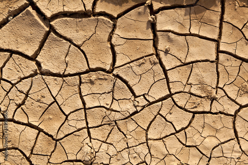 Dry cracked earth texture