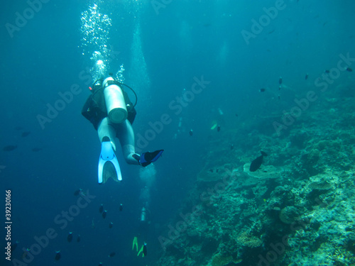 diving in sea