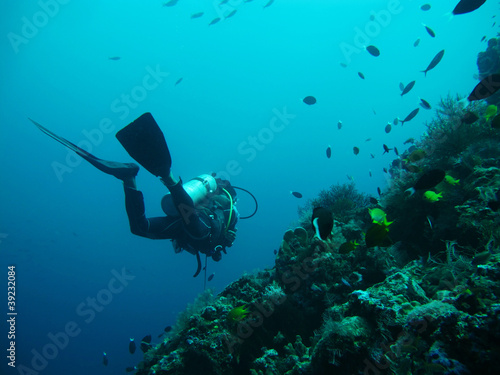 diving in sea