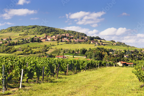 French village and vineyard