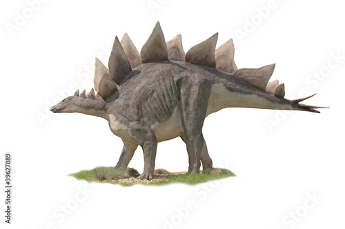 Dinosaur Stegosaurus - white background