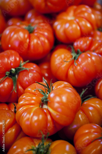 French tomatoes of Marmande