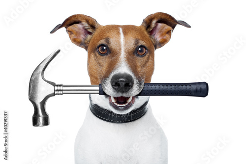 handyman dog with a hammer