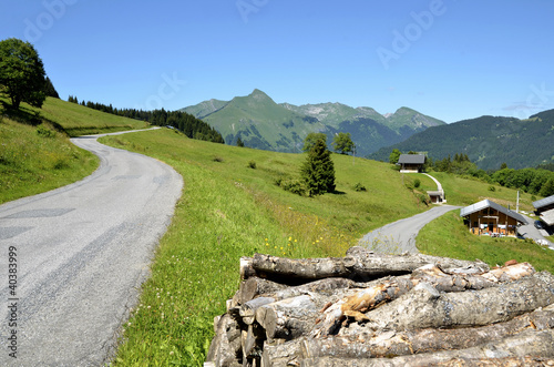 Road in the Alps mountains near Morzine in France