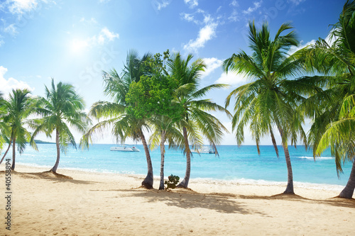 beach of Catalina island in Dominican republic