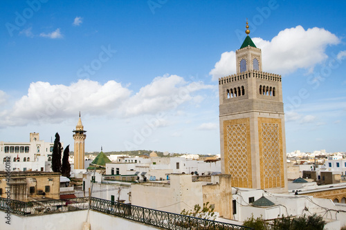 Great View Over the Historic Town of Tunis