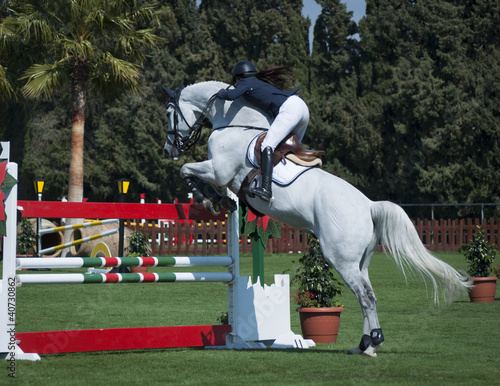 Show Jumping