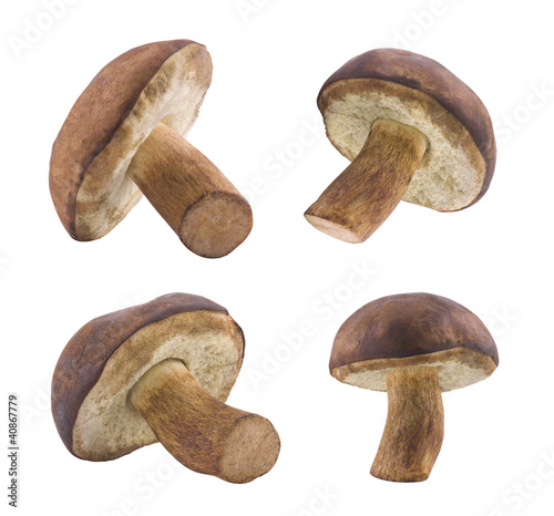 Mushrooms with clipping path