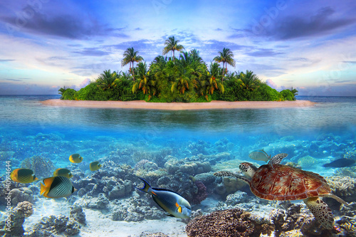 Marine life at tropical island of Maldives