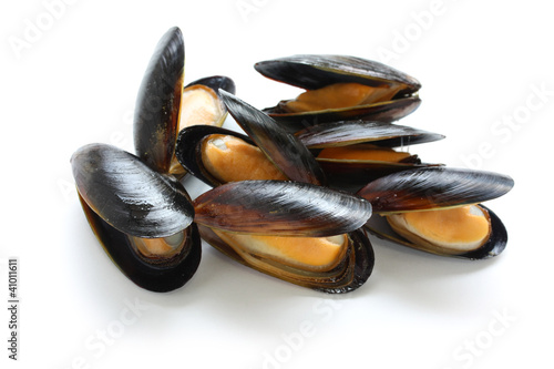 mussels