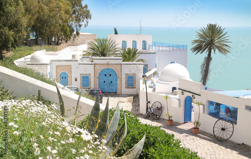 Tunis Sidi Bou Said- HDR