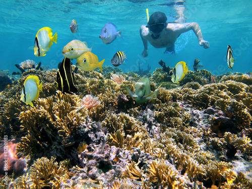 Man snorkeling underwater on a shallow coral reef with tropical fish front of him, Caribbean sea