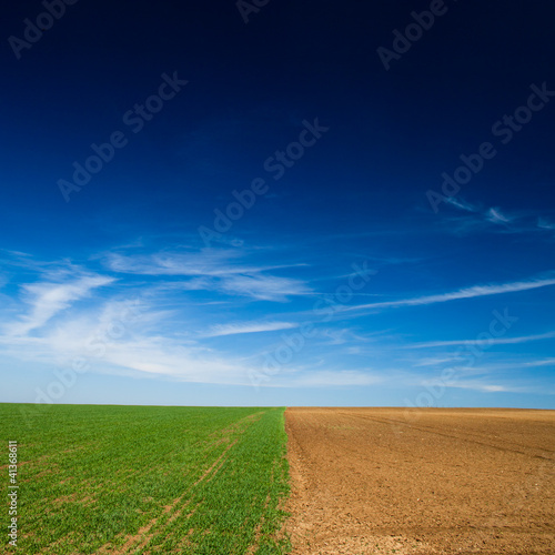 a seeded field and a field lying fallow