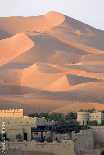 Abu Dhabi's desert dunes