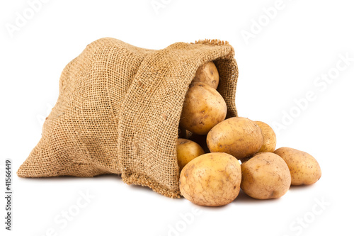 Raw potatoes in burlap sack