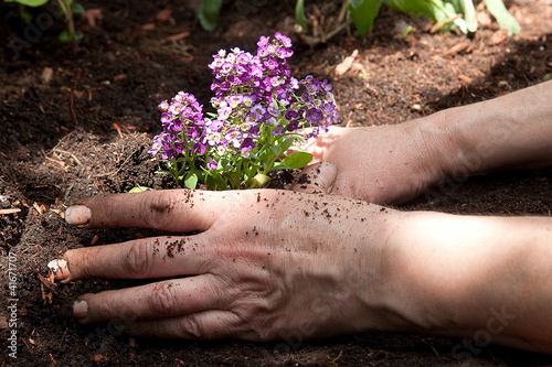 Gardening