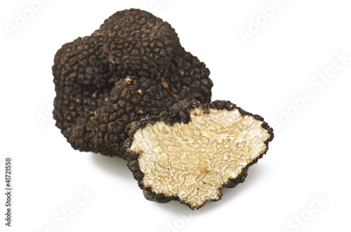 freshly harvested truffles