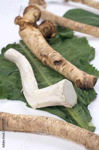 Horseradish root