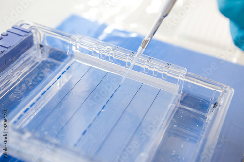 loading a sample into a gel for electrophoresis